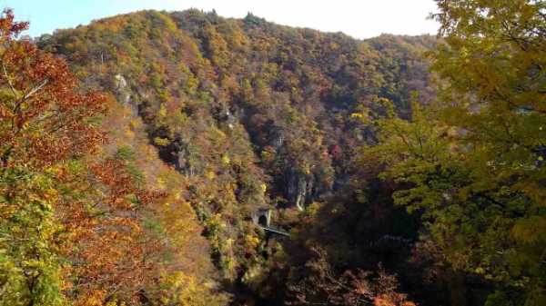 圧巻の眺めを満喫、鳴子峡の紅葉の見どころを解説!散策後に寄れる観光スポットも!