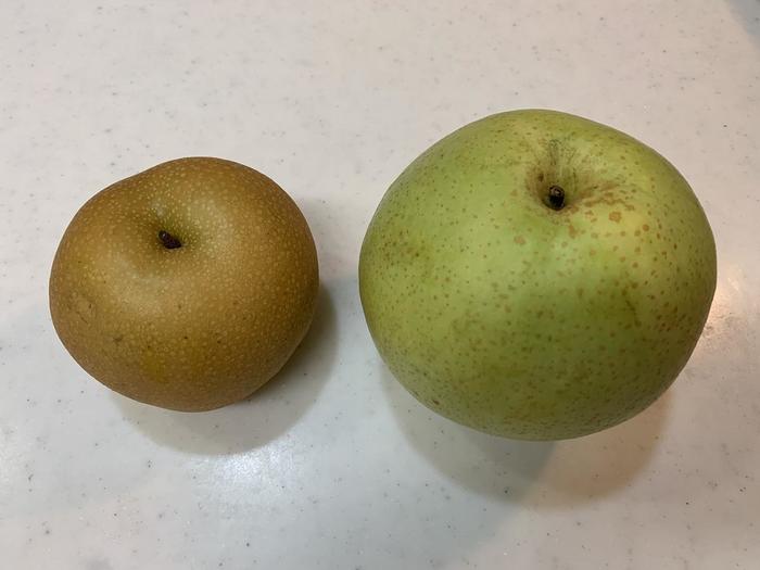 【千葉県市川市】地元に愛される梨の聖地!大町梨街道で新鮮な梨とスイーツを