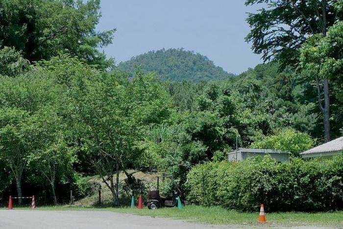 和菓子好きに!上賀茂神社〜下鴨神社のおすすめの回り方【京都の世界遺産巡り2】