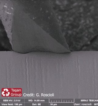 なんで硬い金属のカミソリが、柔らかいヒゲに負けてボロボロになるの?