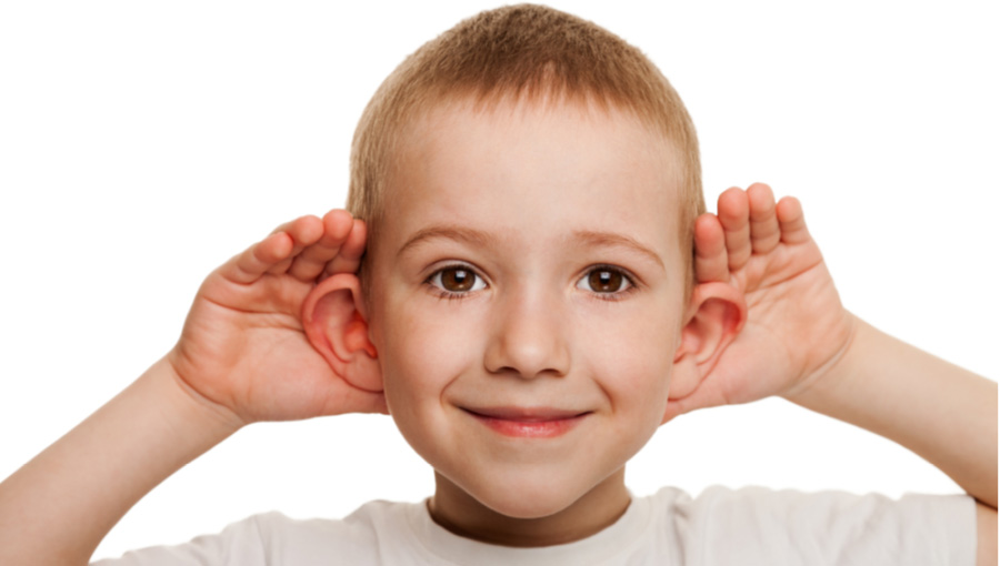 人は興味のある音を聞くとき「誰でも耳をピクピクできる」と判明! 制御する脳領域が神経化石として残っていた!