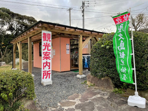 屋久島の世界遺産「縄文杉」!おすすめのトレッキングコースや見どころ・アクセス方法を紹介