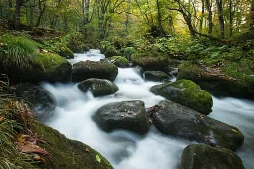 ベストシーズンは10月下旬?青森県の絶景ポイント、奥入瀬渓流の紅葉情報まとめ!
