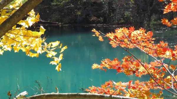 圧巻の眺めを満喫、鳴子峡の紅葉の見どころを解説!散策後に寄れる観光スポットも!