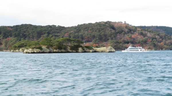 【連載】ドライブで楽しむおすすめの旅 ~秋の宮城でお花見と海の絶景を満喫~