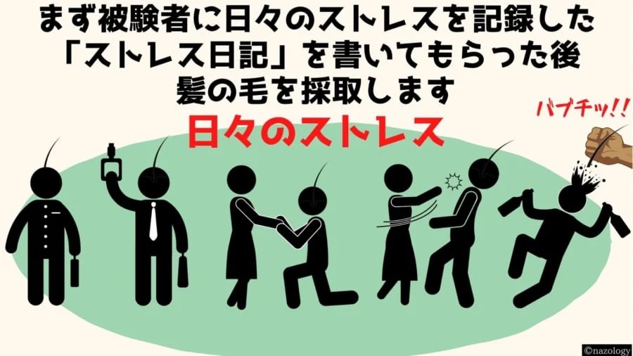 脱ストレスで「白髪は元に戻る」と明らかに