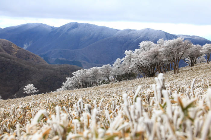 実践!私のマイクロツーリズム〜個性豊かな峰を育む、三重・滋賀県境の鈴鹿山地〜