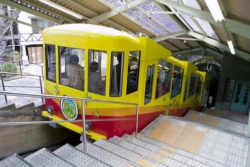 観光がてら気軽に登山も満喫。高尾山の紅葉スポットおすすめ7選、見頃もご紹介!