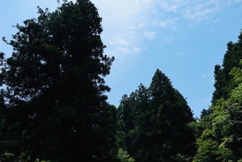 自然に生かされている事に感謝して ~御船町 吉無田水源~