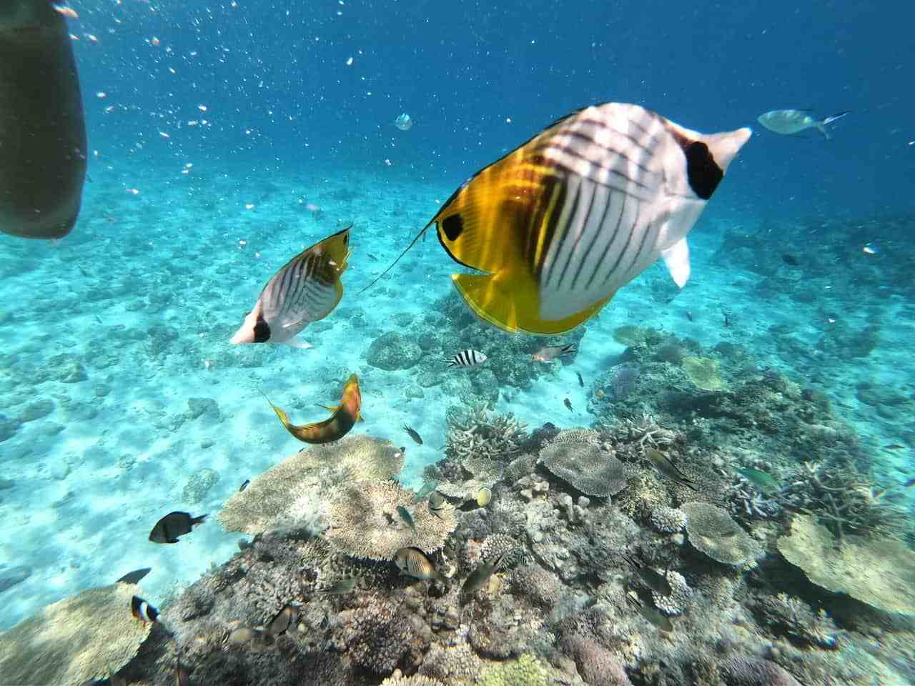【連載】初めての沖縄旅行!日帰りで行ける離島を紹介