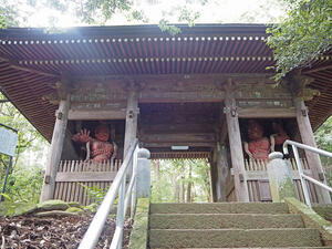 伊勢原「日向渓谷」は川遊びの穴場!秘境感溢れる近隣観光スポットもご紹介