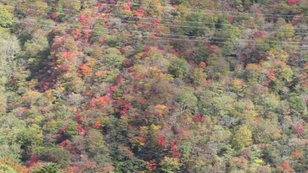 圧巻の眺めを満喫、鳴子峡の紅葉の見どころを解説!散策後に寄れる観光スポットも!