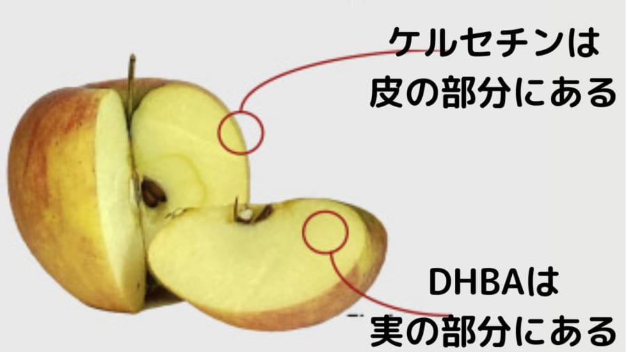 リンゴは脳機能を高める「知恵の実」だったことが判明