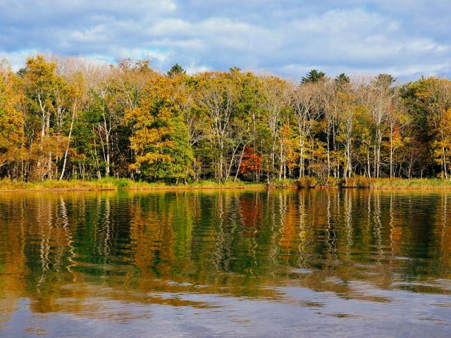 鮮やかなライトアップもあり!北海道の紅葉、ベストシーズンの予測や見頃を紹介!