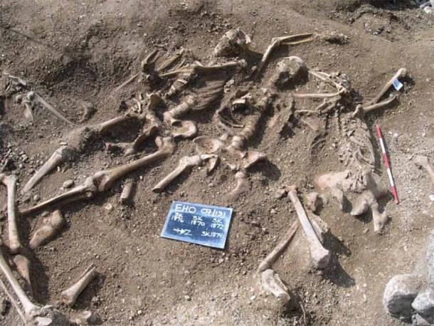 遠方の地で死んだ2人のヴァイキングに「血のつながり」を発見、1000年ぶりの再会を果たす!