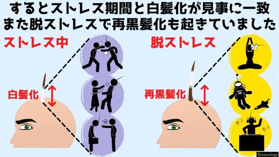 脱ストレスで「白髪は元に戻る」と明らかに