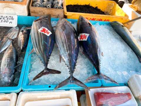 南房総のおすすめ観光スポット8選!皇室献上のびわや一面のお花畑、新鮮な魚介を満喫しよう♪