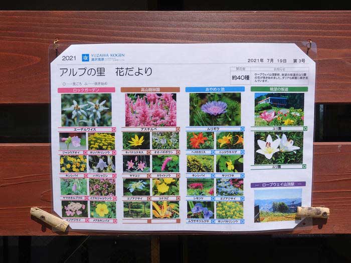 【新潟】世界最大級の湯沢高原ロープウェイに乗ってパノラマパークへ