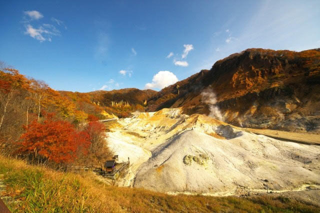鮮やかなライトアップもあり!北海道の紅葉、ベストシーズンの予測や見頃を紹介!