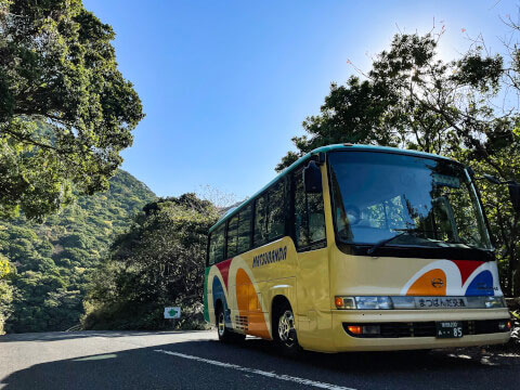 屋久島の世界遺産「縄文杉」!おすすめのトレッキングコースや見どころ・アクセス方法を紹介