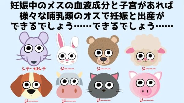 6.メスと体を縫い合わせ「子宮移植されたオスマウス」が出産成功