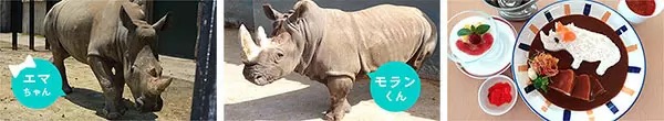 台湾旅気分! 東武鉄道動物公園と東京ソラマチで「台湾キャンペーン」を開催
