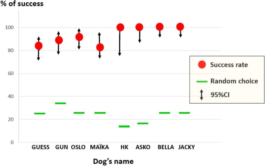 犬が新型コロナウイルスの陽性患者を見分けられるかもしれない!?