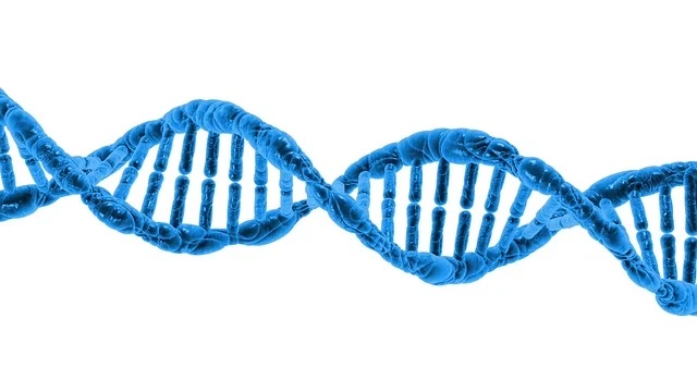 現生人のオリジナルDNAはわずか1.5〜7%しかないと判明