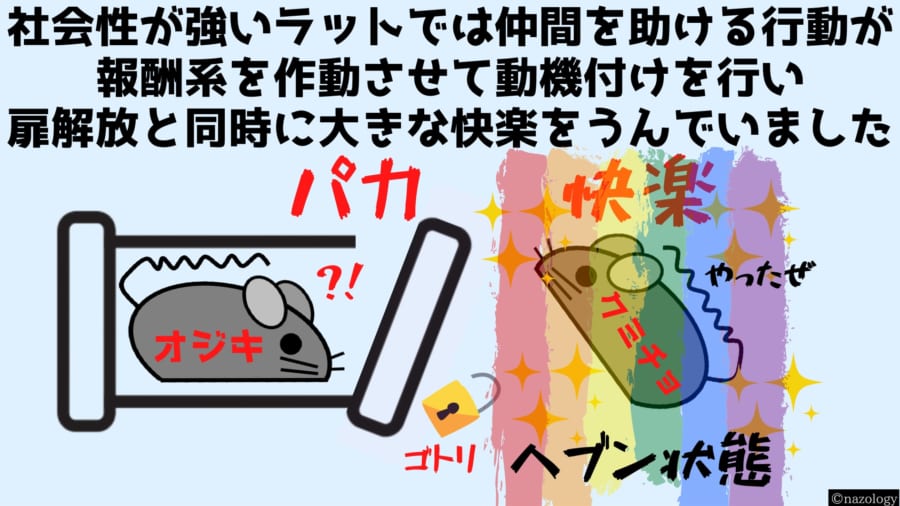 ラットに仲間を助け他者を見捨てる「差別の脳回路」が見つかる