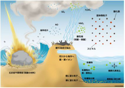 恐竜は「酸性雨」で絶滅した!? 環境激変の証拠が見つかる