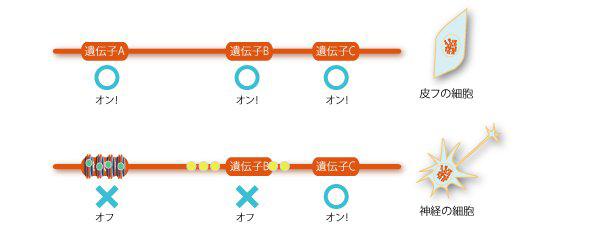 慢性的な仕事のストレスはヒトの性格を変えてしまう
