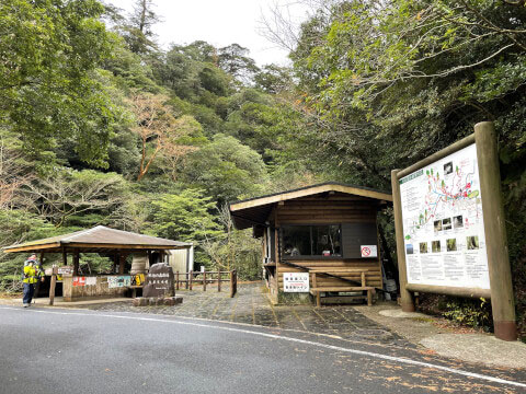 屋久島の世界遺産「縄文杉」!おすすめのトレッキングコースや見どころ・アクセス方法を紹介