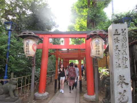 上野公園の楽しみ方を解説!自然に美術に動物園まで、上野公園の見どころを徹底網羅