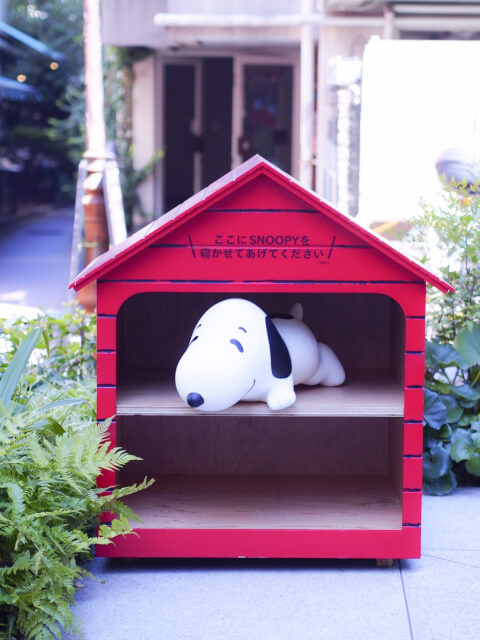 原宿にサステナブルフードが食べられる「PEANUTS Cafe」がオープン!通称“スヌーピーカフェ”の魅力を大公開