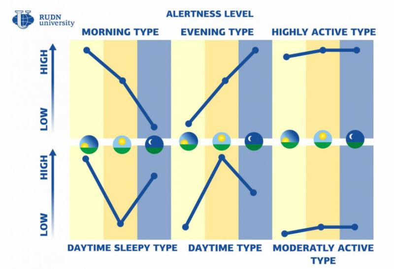 あなたは夜型? 朝型? ヒトの「体内時計」は全部で6種類あることが判明!