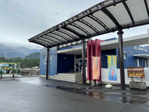 屋久島の世界遺産「縄文杉」!おすすめのトレッキングコースや見どころ・アクセス方法を紹介