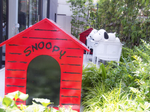 原宿にサステナブルフードが食べられる「PEANUTS Cafe」がオープン!通称“スヌーピーカフェ”の魅力を大公開