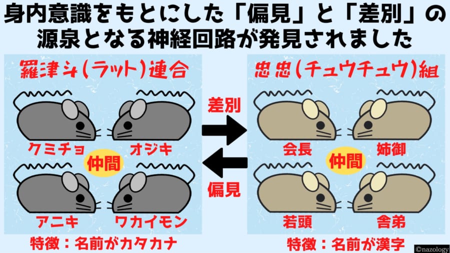 ラットに仲間を助け他者を見捨てる「差別の脳回路」が見つかる