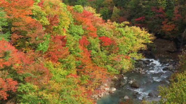 日本有数の100%天然ラドン温泉、堪能してきました!