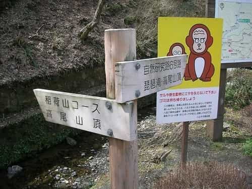 観光がてら気軽に登山も満喫。高尾山の紅葉スポットおすすめ7選、見頃もご紹介!