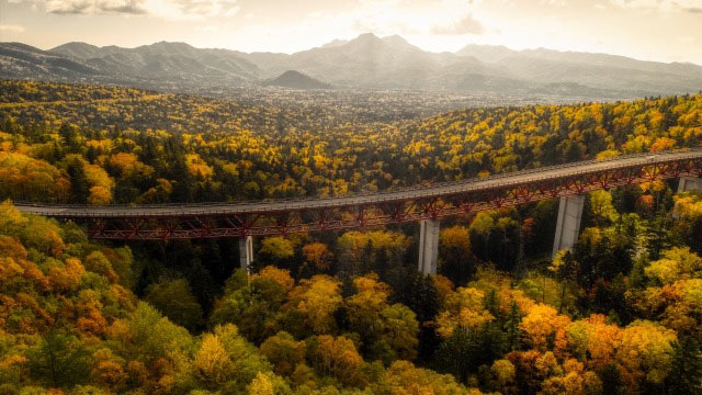 鮮やかなライトアップもあり!北海道の紅葉、ベストシーズンの予測や見頃を紹介!