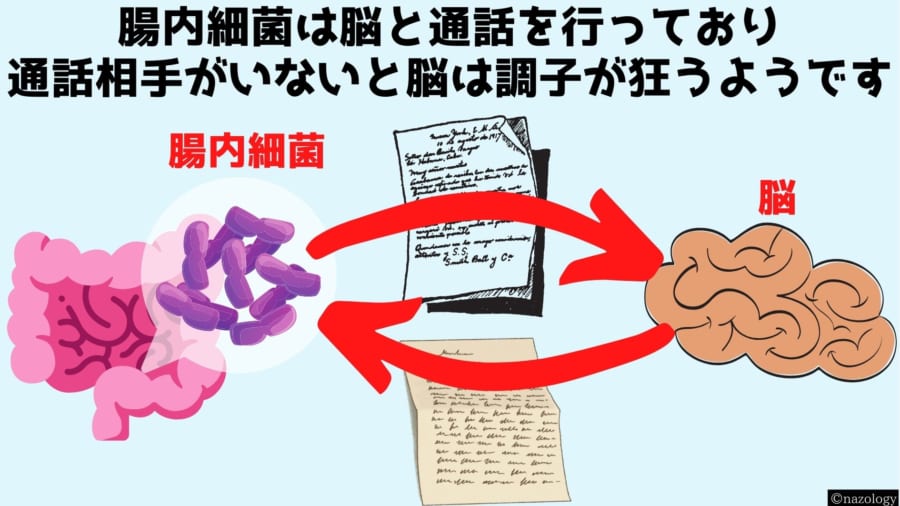 腸内細菌を持たないマウスが「ボッチ」になる理由が明らかに
