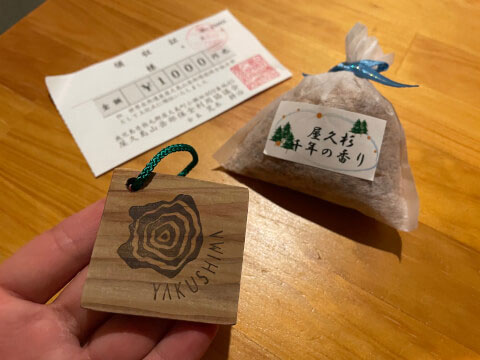 屋久島の世界遺産「縄文杉」!おすすめのトレッキングコースや見どころ・アクセス方法を紹介