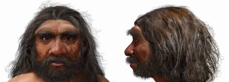 未知の人類「ドラゴンマン」を中国で発見、ネアンデルタールより現生人類に近縁である可能性