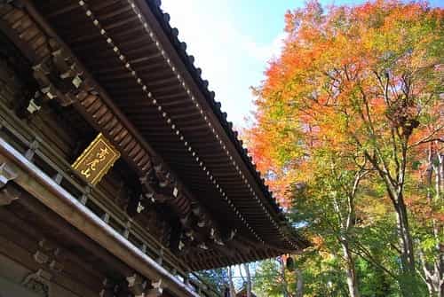 観光がてら気軽に登山も満喫。高尾山の紅葉スポットおすすめ7選、見頃もご紹介!