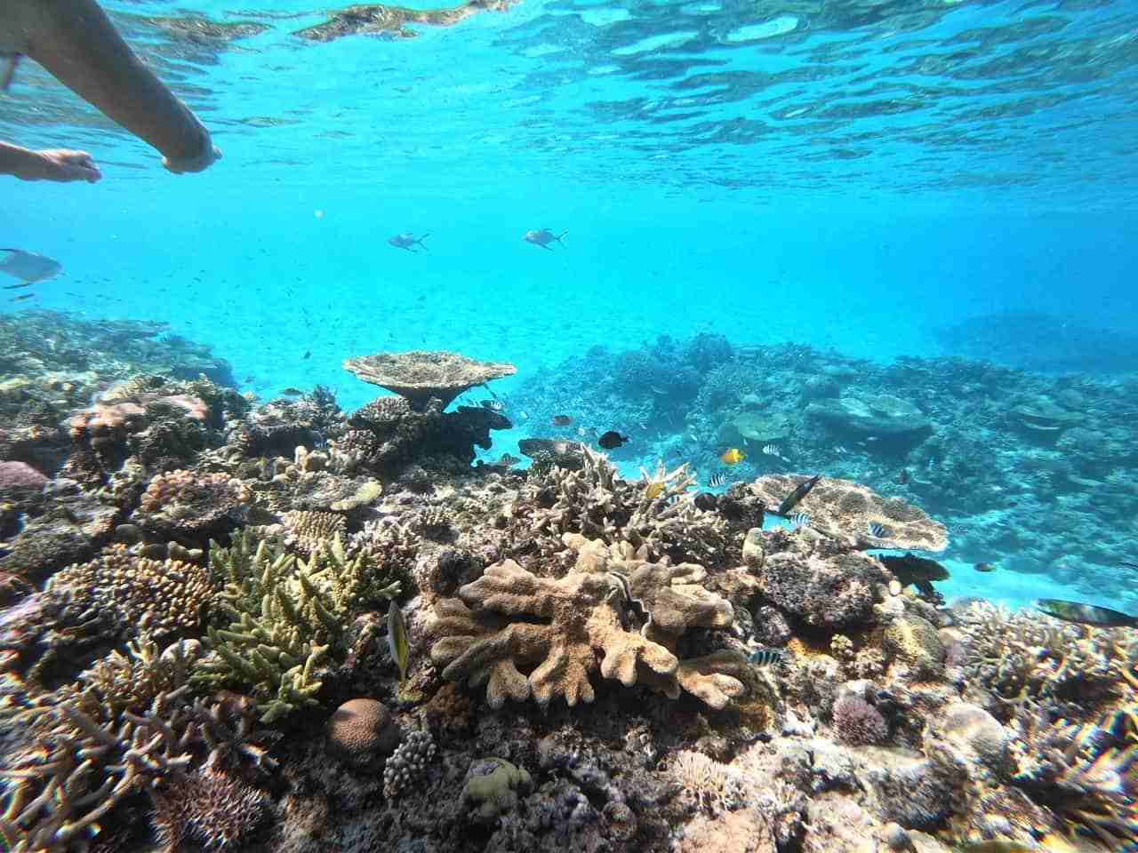 【連載】初めての沖縄旅行!日帰りで行ける離島を紹介