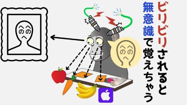3.好きな内容なら「無意識」でも記憶できると判明!