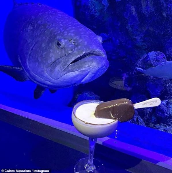 人に会えなくなった水族館の魚たちに次々と「うつ症状」が出始める