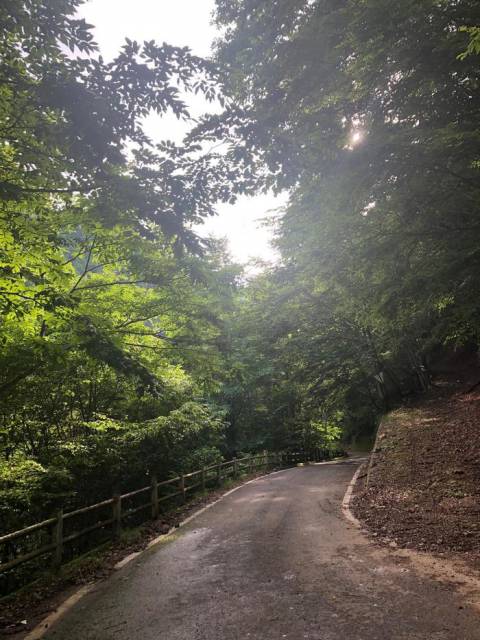 【群馬県・上野村】そこは村のイメージを変える活気あふれるところだった!