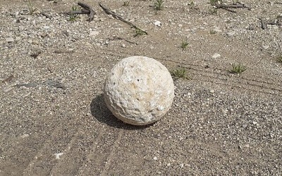 「世界が終末に近づいている」2000年前の投石弾を盗んだ男性が15年越しに返還